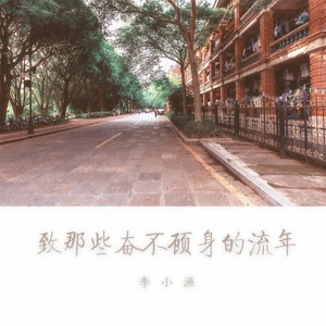 致那些奋不顾身的流年