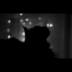 学不会-邱艺