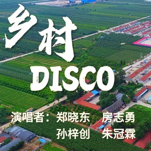 乡村Disco