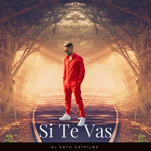Si Te Vas
