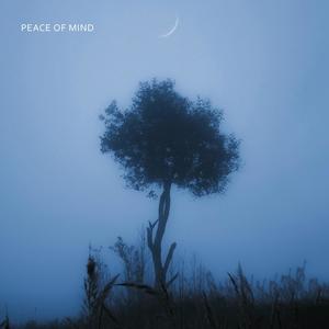 peace of mind