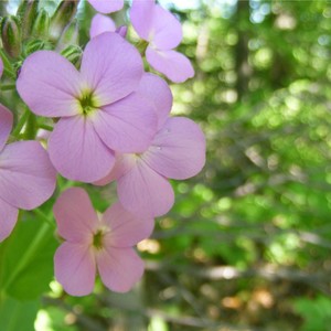 Her Fantasy(It's Ok, Baby)