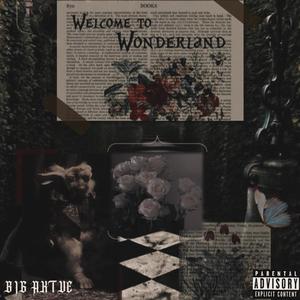 Welcome To Wonderland (Explicit)