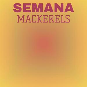 Semana Mackerels