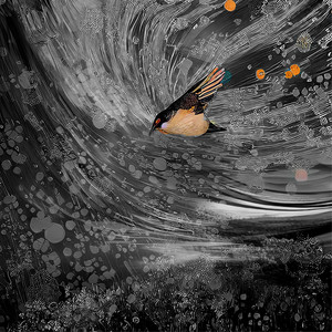 Nudlie's For Children