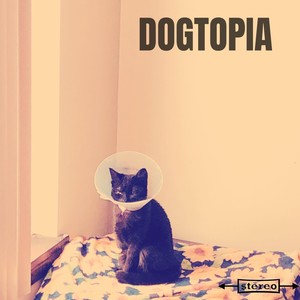 Dogtopia