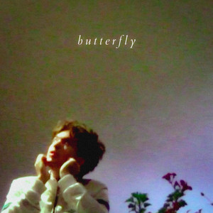 Butterfly (Explicit)