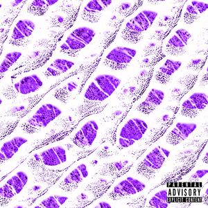 ROOFLESS (feat. Reptilian God Mana) (Explicit)