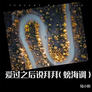 爱过之后说拜拜