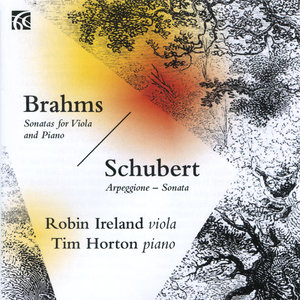 Sonata in A Minor for Arpeggione and Piano, D 821 - Transcribed for Viola and Piano: Adagio