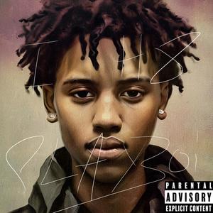 Crash Dummy Vibes (Explicit)