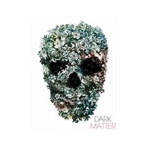 Dark Matter (Explicit)