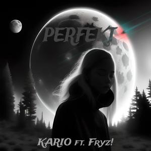 Perfekt (feat. Fryz!) (Explicit)