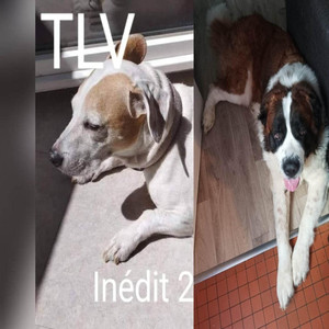 Vivre pour ces reves