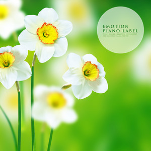 제주에서의 휴식 (Relaxation In Jeju)