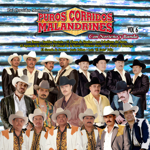 Puros Corridos Malandrines Vol. 6