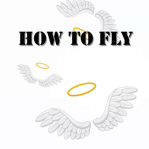 How to fly