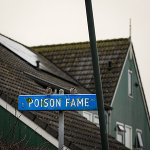 Poison Fame