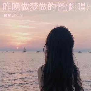 昨晚做梦做的怪