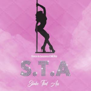 S.T.A (feat. SMG RICO) [Explicit]