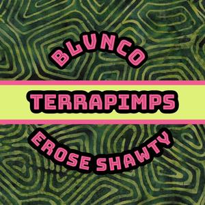 TERRAPIMPS (Explicit)