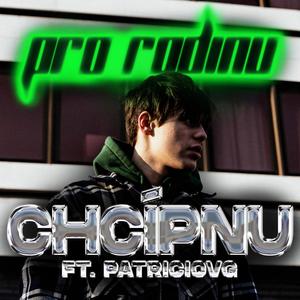 Pro rodinu chcípnu (feat. PatricioVG) [Explicit]