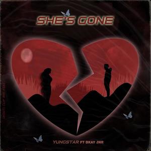 She's Gone (feat. Bkay Jnr) (Radio Edit)