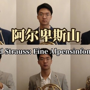 Feierlicher Einzug (Demo)