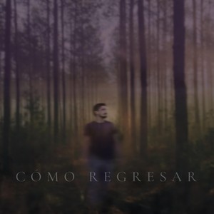 Cómo Regresar