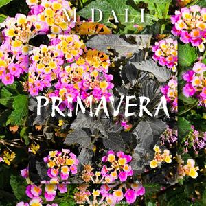 Primavera (Explicit)