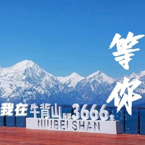 我在牛背山等你