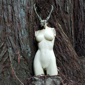 Trauma Bond (Explicit)