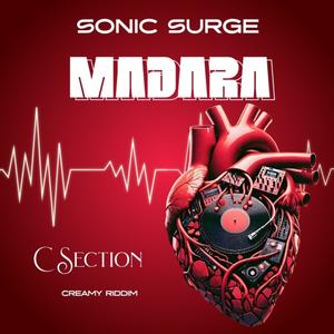 C Section Badness (Explicit)