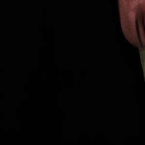 COMO YO remixxxx (Explicit)