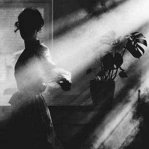 雨纷纷 旧故里草木深