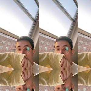 Petal Blizzard (Explicit)