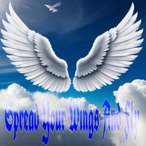 Spread Your Wings And Fly (feat. Phoenixx) [Explicit]