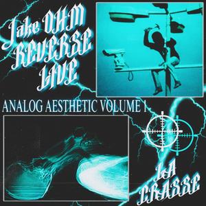 Analog Aesthetic (Explicit)