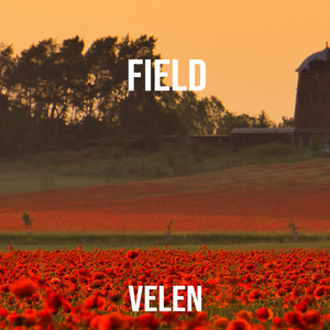 Field