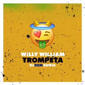 Willy william - Trompeta (DJ REM Remix Radio Edit)