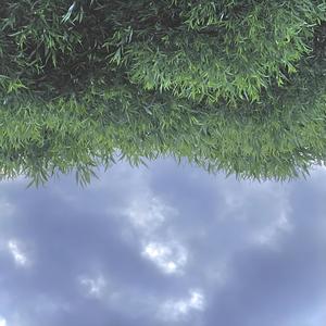 TEE TÖITÄ, MEE NUKKUU, TEE TÖITÄ, MEE NUKKUU, TEE TÖITÄ, MEE NUKKUU... (Explicit)