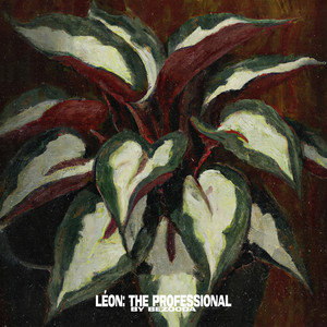 Leon: The Professional