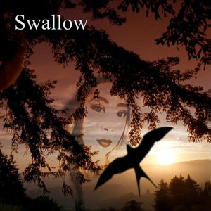 Swallow