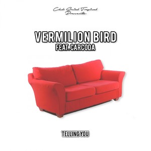 Telling You Feat. CarCoda (Original Mix)