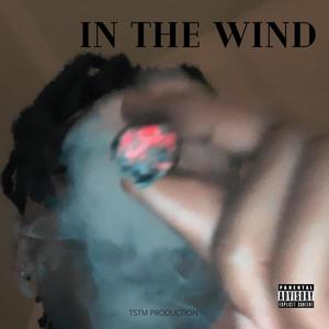 In The Wind (feat. T. Trendin) (Explicit)