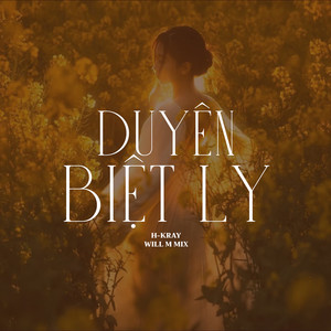 Duyên Biệt Ly (Lofi Version)