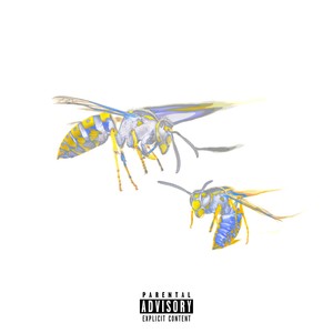 Дурость (feat. So-K) [prod. by BeatHooWin] (Explicit)