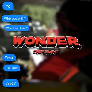 Wonder (Explicit)