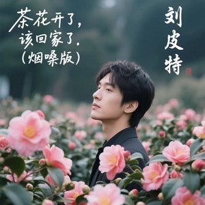 茶花开了 , 该回家了-刘皮特