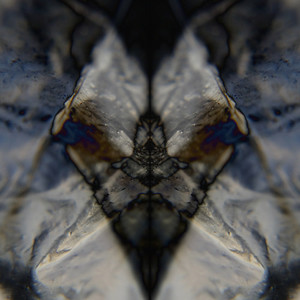 Mutate (Original Mix)